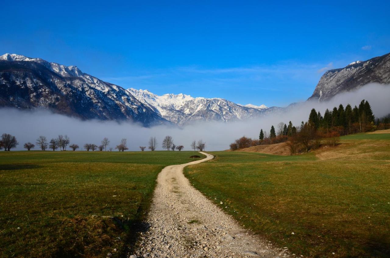 Residence Novak Bohinj Zewnętrze zdjęcie